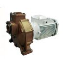 Pump BMA-S 65/220 400/690V 3Ph 15kW 50Hz 2900RPM