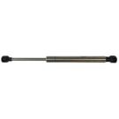 Gas Strut composite SS 12