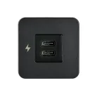 Dual USB-C Interior Charging Socket -Black Bezel