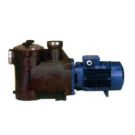 Pump WB8000 500 Lpm 400 V 3 Ph 50 Hz self priming