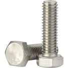 Screws SST  5/16