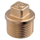 Plug 2