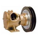 Pump Clutch Bronze 200 1B