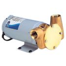 Pump 12V DC NPT model fuse 15A