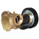 Pump Flexible Impeller Clutch Driven 50270 Series 300 LPM 24V 2A Pulley Flanged Ports 2.5A Fuse