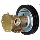 Pump Flexible Impeller Clutch Driven 50580 Series 92.7 LPM 24V 2A Pulley 1