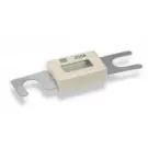 Fuse ANL 100A ignition protected