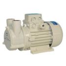 Pump CP 20 G 230 V 1 Ph 50 Hz 0.25 kW self priming