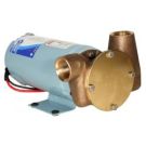 Pump utility puppy 8.3 Gpm 12 V NPT 2000 series