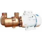 Pump MV44G 0.55 kW 230V 1 Ph 50 Hz 1450 rpm self priming single screw