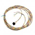 Wire Harness 22 ft 4 colour
