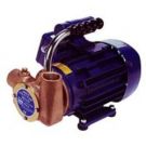 Pump utility (nitrile) 8.8 Gpm 110V self priming portable for dockside application