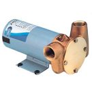 Pump 24V DC BSP model fuse 10A