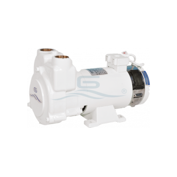 Pump CP 26/A1 24 V 0.2 kW 1500 Rpm self priming