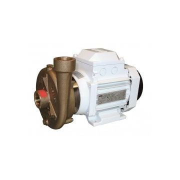 Pump CB 22-120 230 V 1 Ph 50 Hz 0.55 kW 2900 Rpm non-self priming Bronze