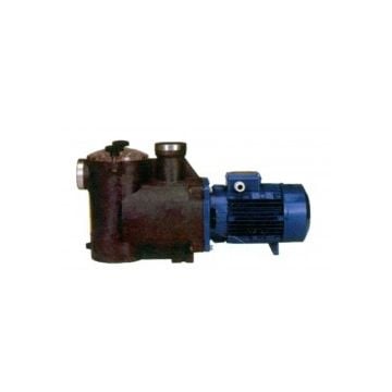 Pump WB4000 250 Lpm 230 V 1 Ph 50 Hz self priming