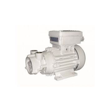 Pump ACB 61G B 230 V 1 Ph 50 Hz 0.25 kW 2900 Rpm self priming