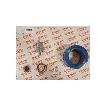 Kit gasket for DM350 Generator (cylinder head, valves, exhaust manifold, etc) for Top maintenance