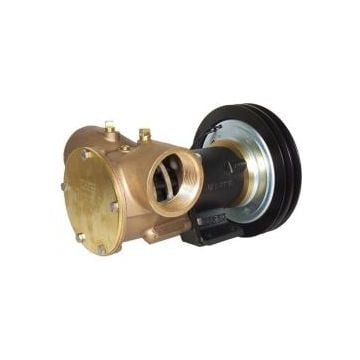 Pump Flexible Impeller Clutch Driven 50270 Series 300 LPM 24V 2A Pulley Flanged Ports 2.5A Fuse