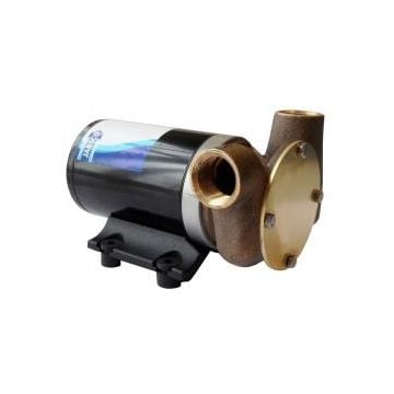 Pump utility puppy 11.3 Gpm 24 V NPT 3000 series