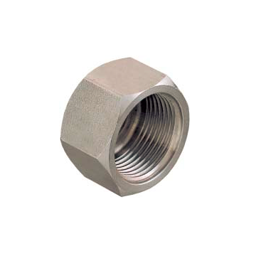 End Cap Female SSS 1/2"