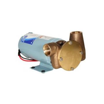 Pump utility puppy 8.3 Gpm 12 V BSP 2000 series