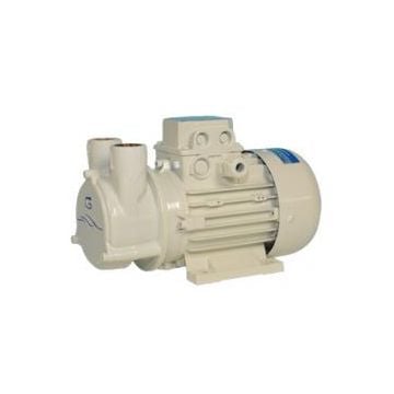 Pump CP 20/A1 G 24 V 0.18 kW 2800 Rpm self priming