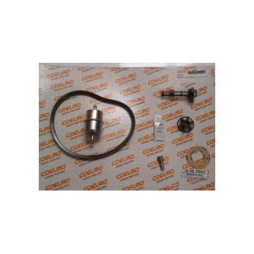 Kit for DM300 Generator (oil filter, fuel filter, V belt, sea water impeller and zinc anode) for Routine Maintenance